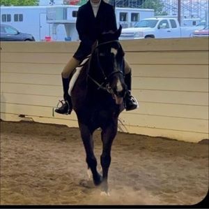 Meet your Posher, Rachel